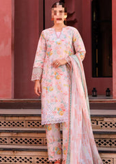 𝘽𝙧𝙖𝙣𝙙 : Farasha