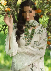 𝘽𝙧𝙖𝙣𝙙 : Afrozeh